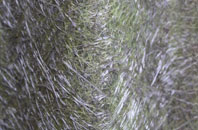 West Coker fibreglass roof work